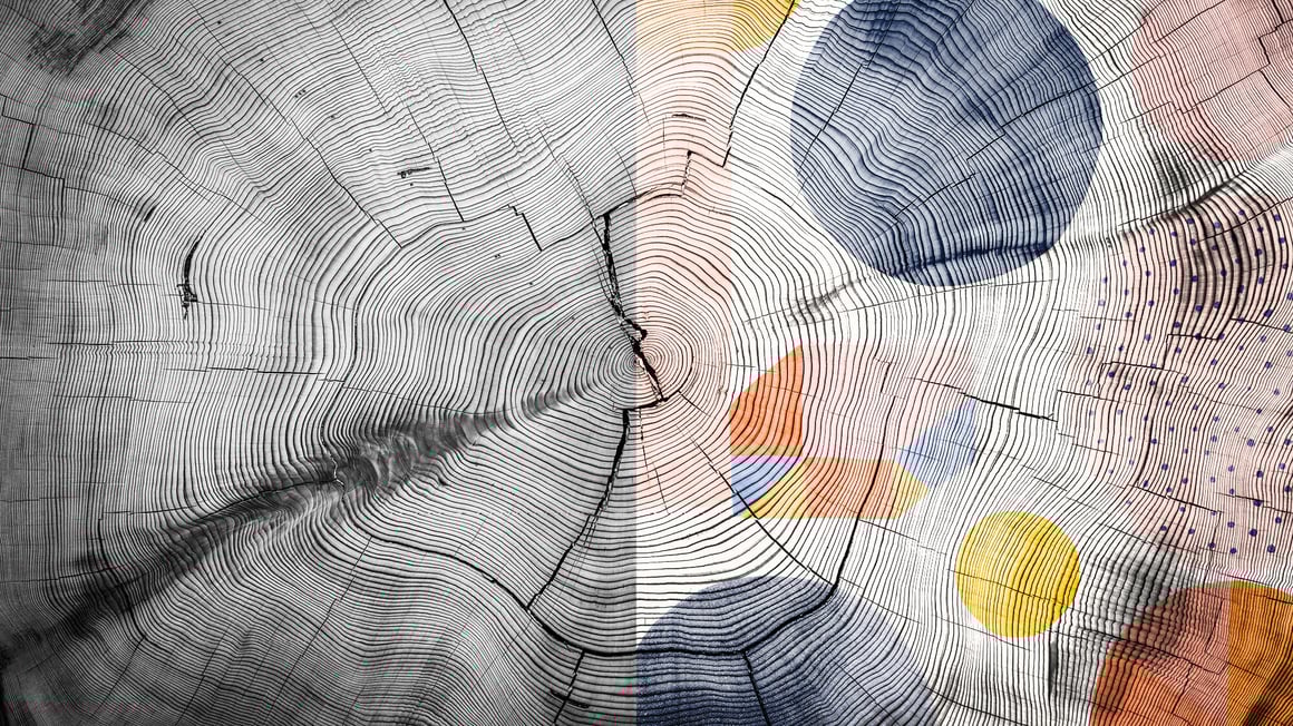 Image from Project Liberty